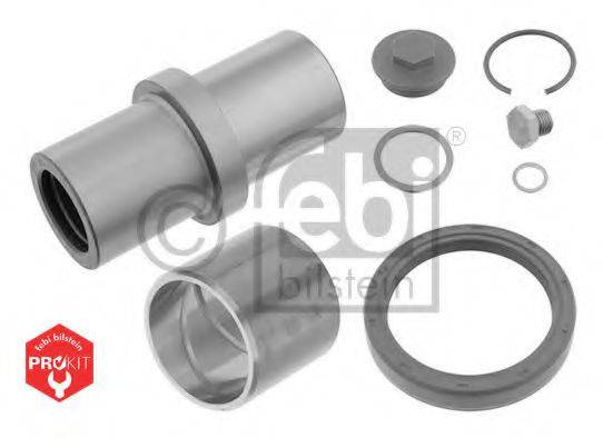 FEBI BILSTEIN 05875 Ремкомплект, шворень поворотного кулака