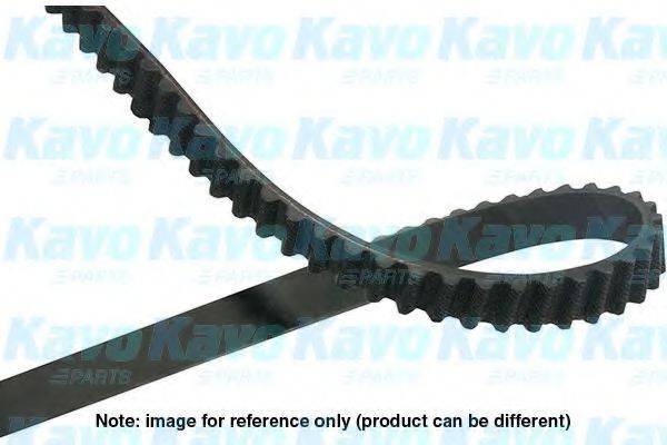 KAVO PARTS DTB1003 Ремінь ГРМ