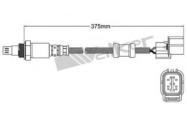 WALKER PRODUCTS 25054046 Лямбда-зонд