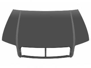 VAN WEZEL 0325660 Капот двигуна