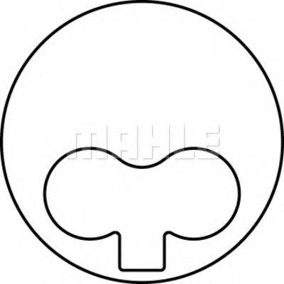 PERFECT CIRCLE 59835480 Поршень