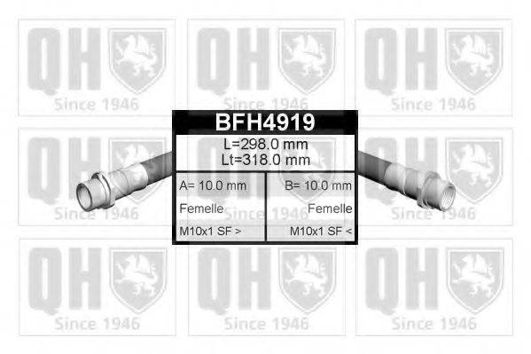 QUINTON HAZELL BFH4919 Гальмівний шланг